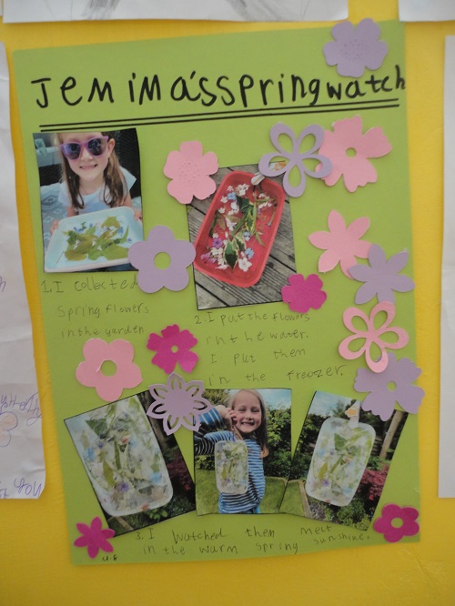 Signs of Spring! | Lydgate Infant School